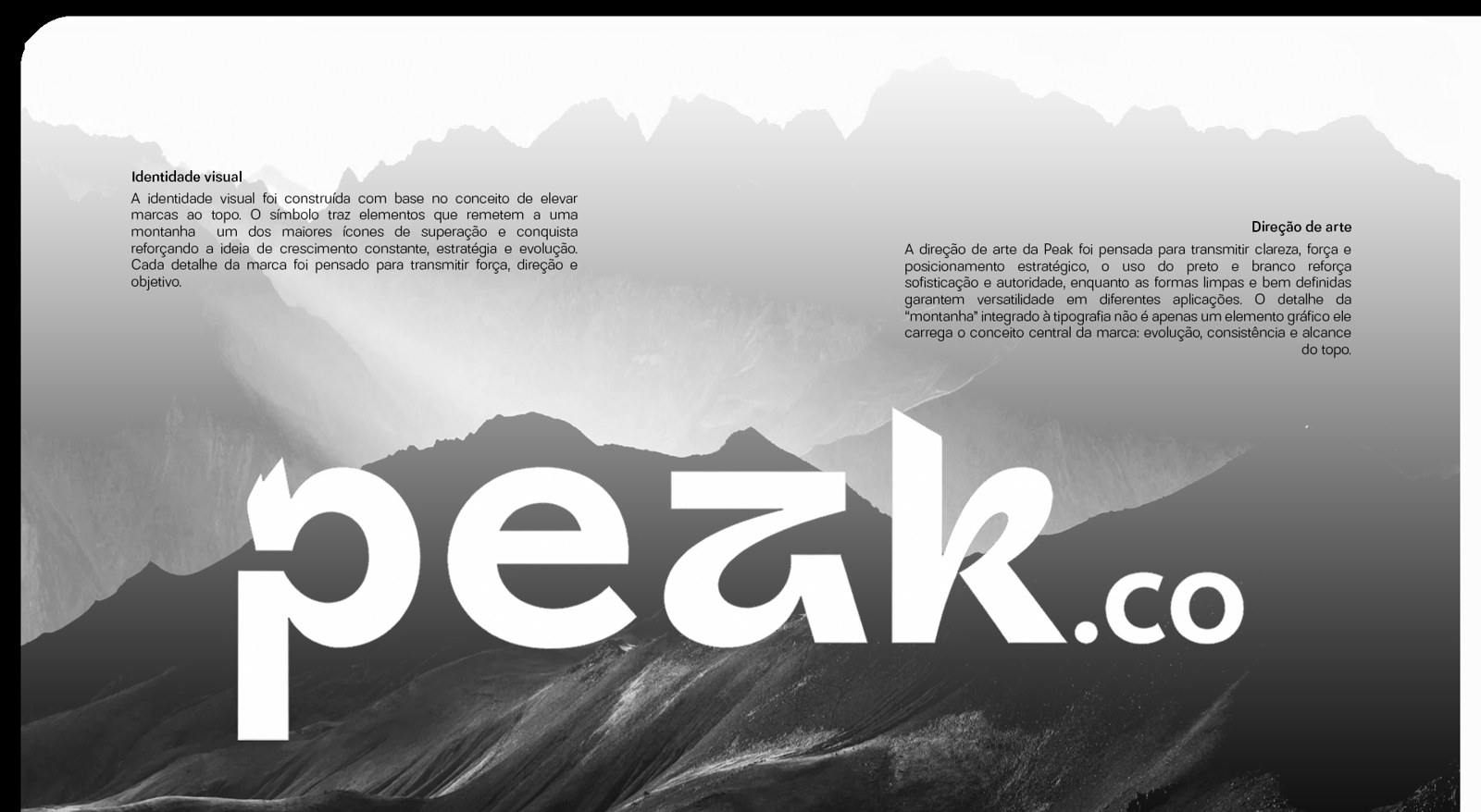 Peak.co — Sistema visual para ambiente digital